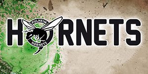 Logo Kooperationspartner Pulheim Hornets