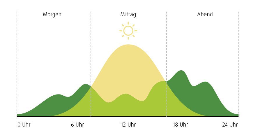 Tagesverlauf der Stromnutzung mit PV-Anlage und Speicher: morgens und abends hoher Verbrauch von gespeichertem Strom, mittags hohe PV-Produktion mit Speicherung des Überschusses.