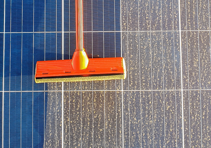 Reinigung Photovoltaik Pollen