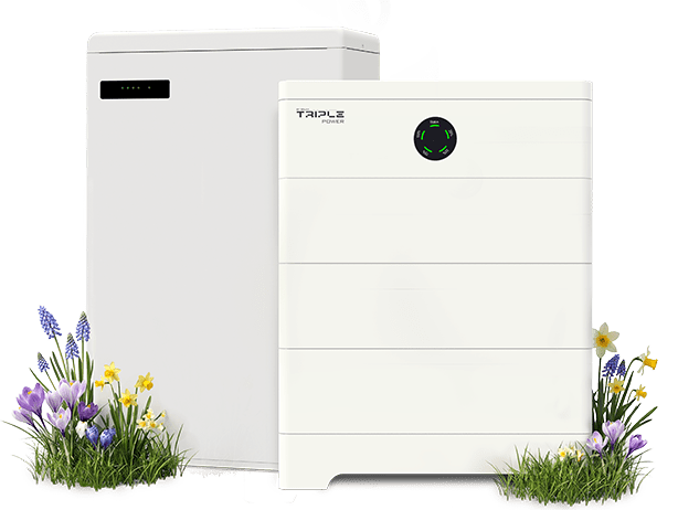 Solax Fruehlingsaktion product