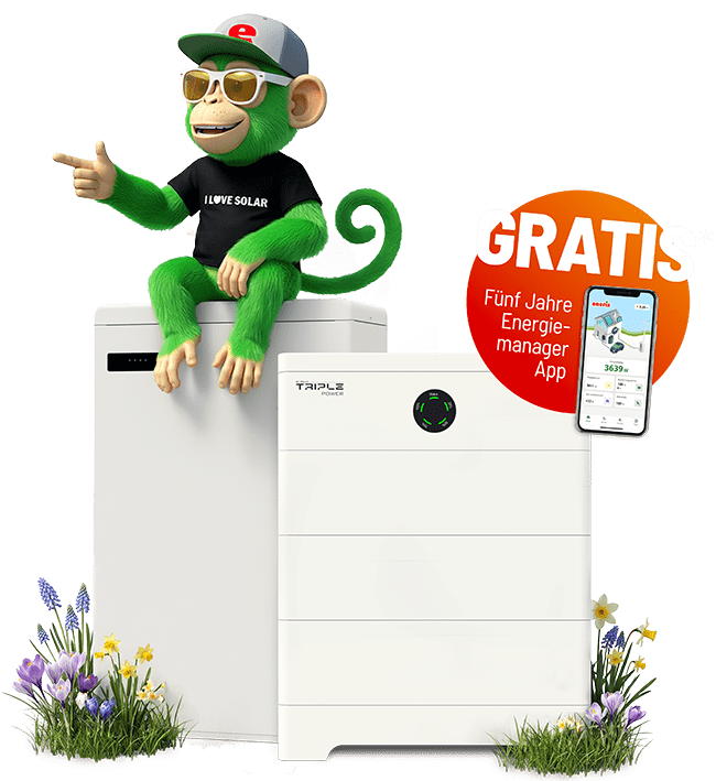 Solax Sommeraktion Main 3